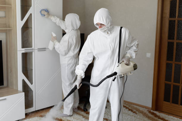 Affordable Sewage Cleanup solutions in Springville, CA
